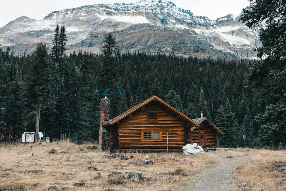 Crafting Tailored Safari-to-Mountain Lodge Escapes for Affluent Explorers