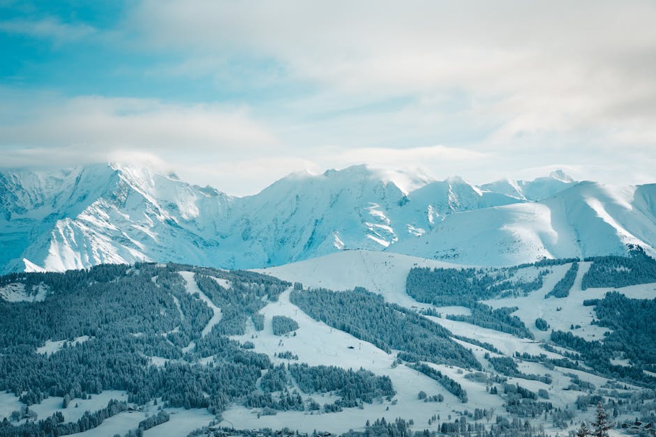 How Bespoke Travel Agencies Curate Exclusive Polar Bear Viewing Tours